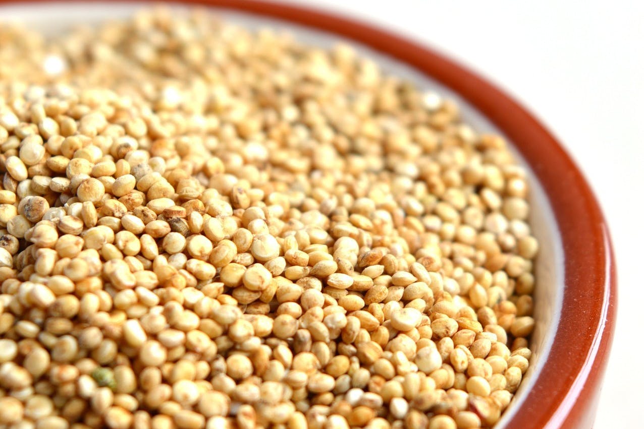 Quinoa 1243591 1920